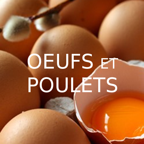 Oeufs Oméga-3 et poulets fermiers bio